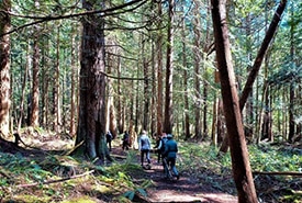 Hiking Halfmoon Bay Bc Ellen Adelberg Thumb