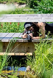 Gen Pintel Profile