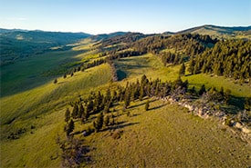 Bob Creek Ranch By Sean Feagan Thumb Sm