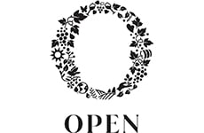 Open ON VQA Custom