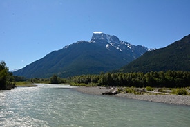 Anne Creek Snowshoe Creek Harvey Thommasen Bc Thumb