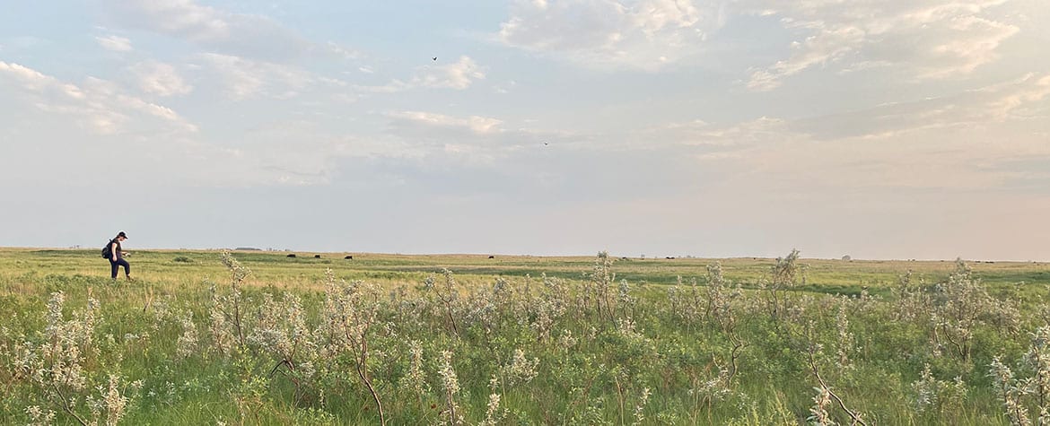 Conservation Intern Manitoba