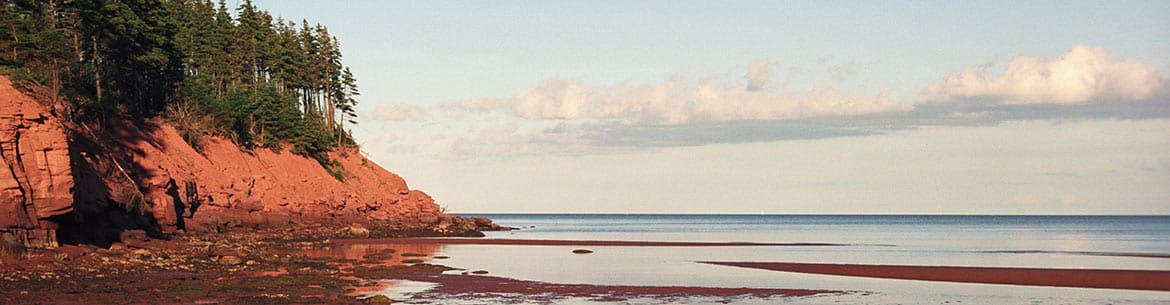 Fortune Bay