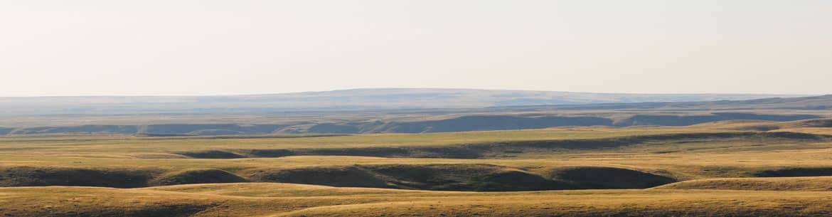 Wideview Landscape Sk Calvin Fehr Banner Sm Wideview Landscape