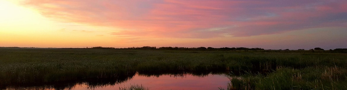 Douglas Marsh Sunset NCC Banner Sm Douglas Marsh Sunset NCC Banner Sm