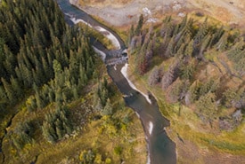 Jim Prentice Wildlife Corridor Photo By Brent Calver Thumb2