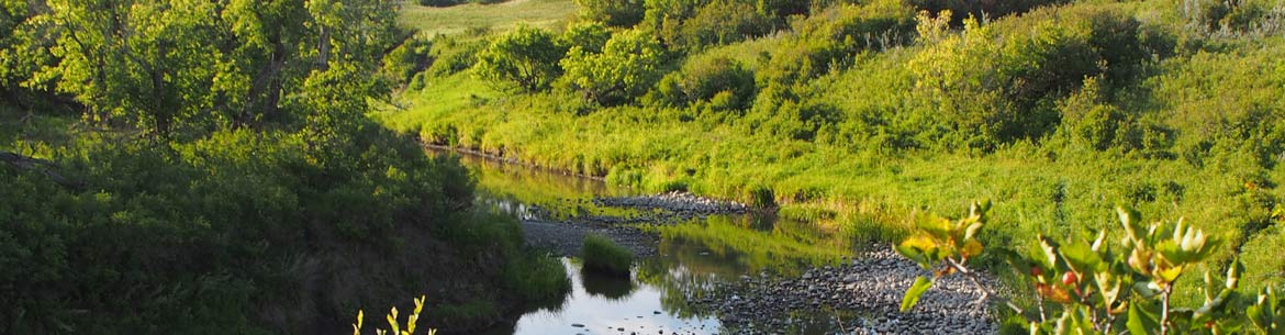 Pipestone Creek