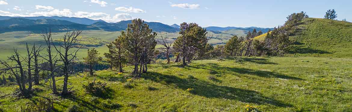 Bob Creek Ranch