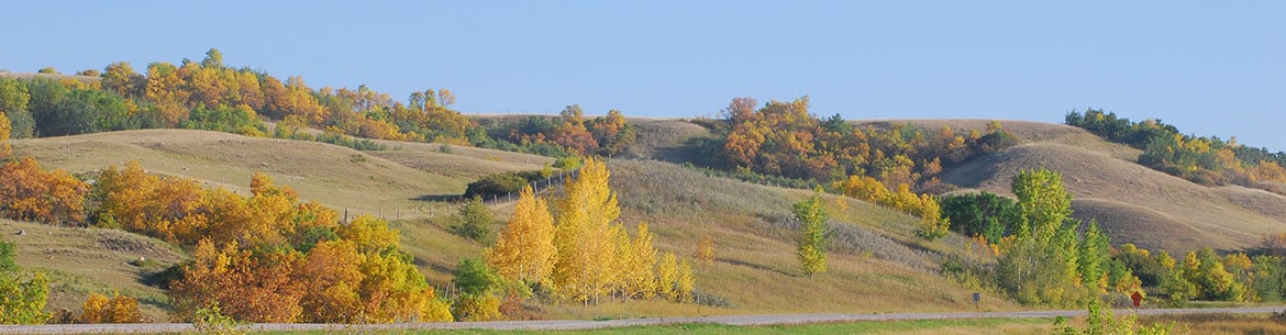 Fairy Hill