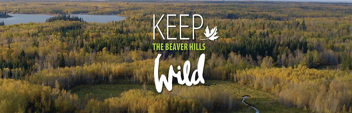 Keep The Beaver Hills Wild