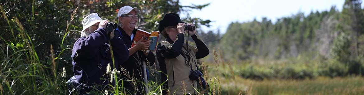 Volunter Birders