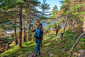 2 Hikers At Freshwater Bay Ncc Thumb