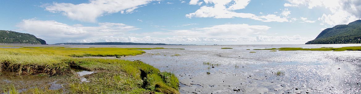 Baie Saint Paul