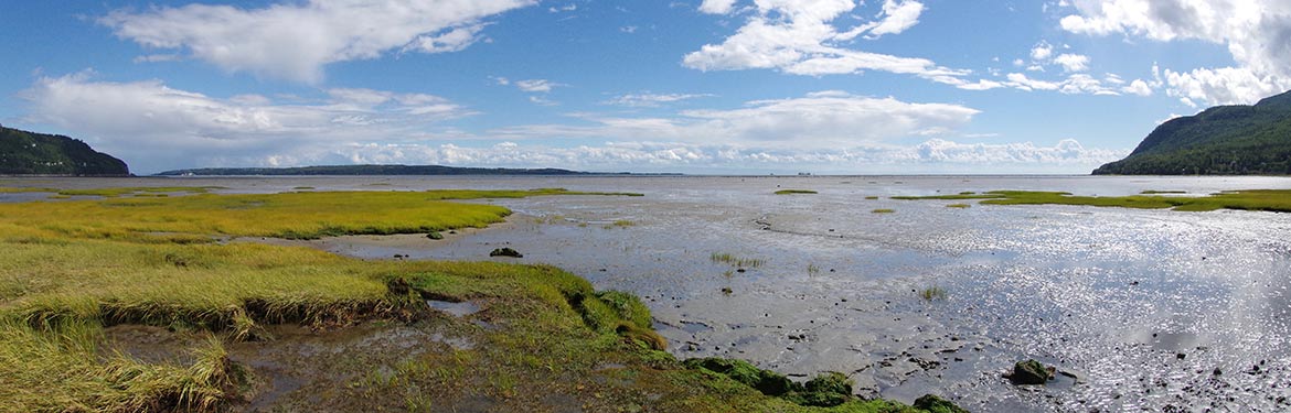 Baie St Paul