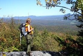 Champigny Northern Green Mountains Qc Ncc Thumb