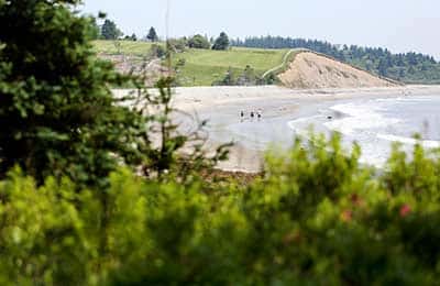 Gaff Point CV Event 2015 View NS Mike Dembeck Custom