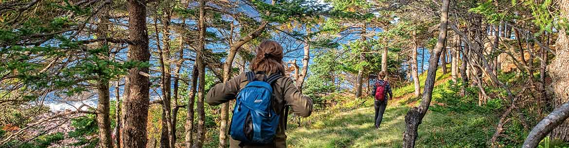 Hiking At Freshwater Bay