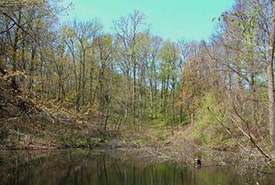 Lathrop Nature Preserve ON NCC Thumb
