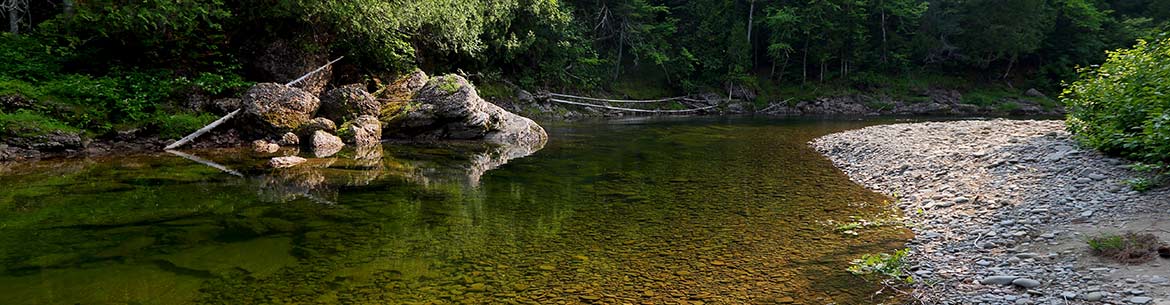 Malbaie River Mike Dembeck Banner Sm