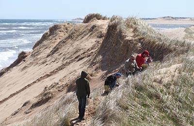 Marram Grass Plug Planting CV Event St Peters Harbour PEI Mike Dembeck Custom