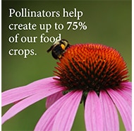 NatureMakesItPossible Image01