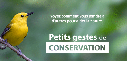 Small Acts of Conservation