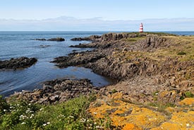 Brier Island Ncc Thumb