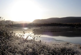 Brooms Brook Grand Codroy Valley Nl Ncc Thumb