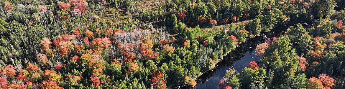 Clyde River Nature Reserve Ns Mike Dembeck Banner Sm