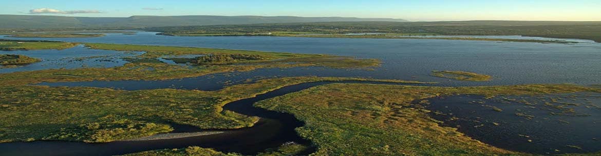 Codroy River