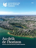 NCC SU22 Digital EN Cover 185px Custom