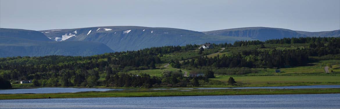 Grassy Place Nl Paul Grenier Banner Med Grassy Place