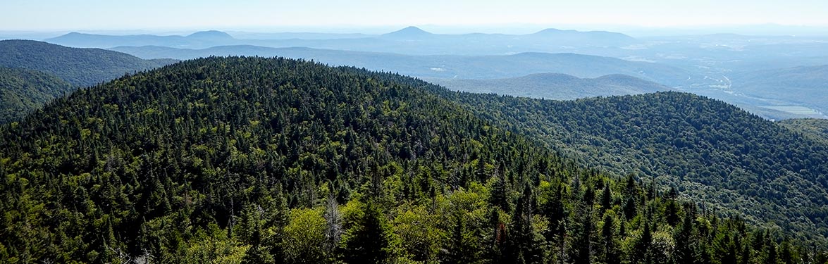 Green Mountains