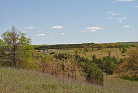 Hazel Bird Property Ncc Thumb