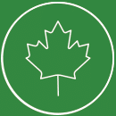 Leaf Icon