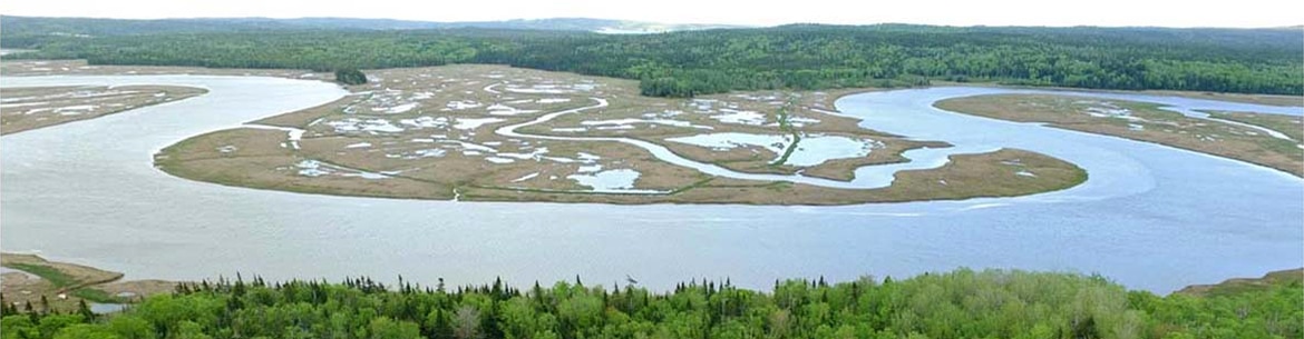 Musquash Estuary
