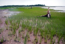 Percival River Pei Ncc Thumb