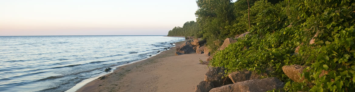Shore Of The Novatney Property Pelee Island Sam Brinker Omnr Banner Sm Shore Of The Novatney Property Pelee Island