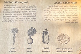 A wooden panel describing the importance of building soil carbon (Photo NCC)