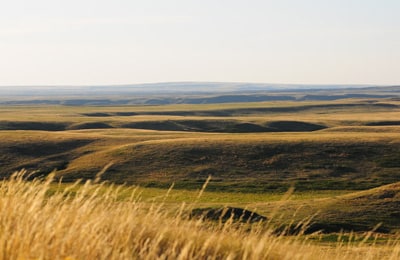 Wideview, SK (Photo Calvin Fehr)