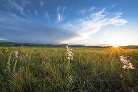 Grasslands, MB. (Photo Jason Bantle)