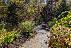 Garden in the fall (Photo by Jaimee Morozoff)