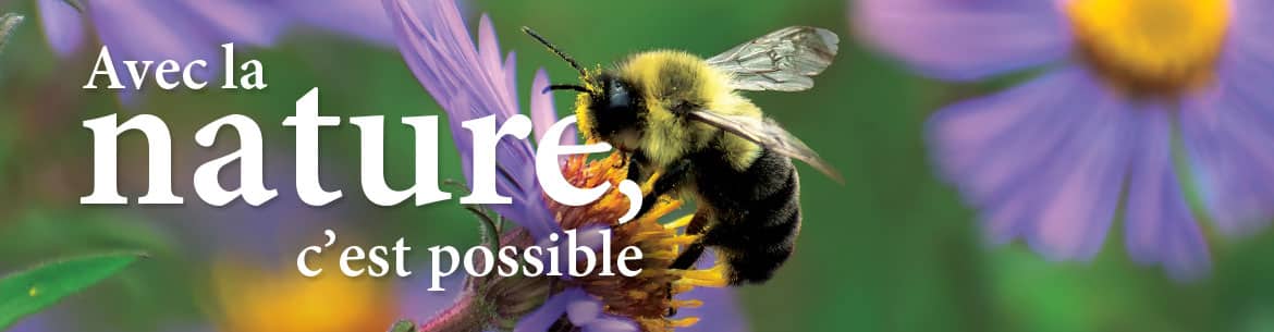 Nature Makes It Possible