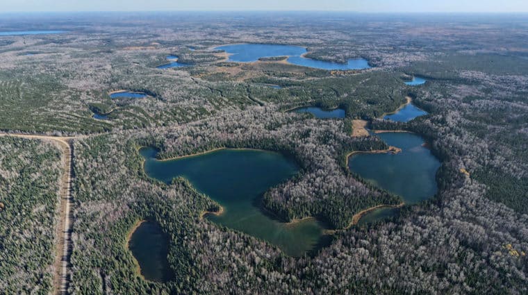 Boreal Wildlands (Photo NCC)