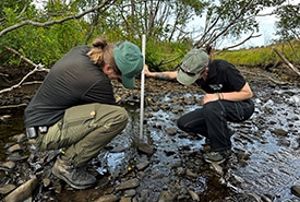 Stream monitoring in Codroy Valley, NL. (Photo Jennifer Sullivan)