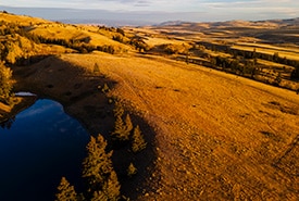 Bunchgrass Hills, C.-B. (Photo de Steve Ogle)